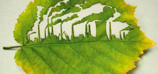 Über Plant-for-the-Planet Über Plant-for-the-Planet
